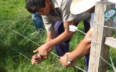 Curso de Alambrador