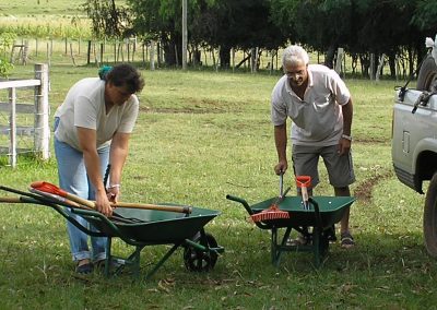 actividades