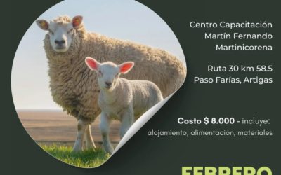 Curso de Inseminación ovina