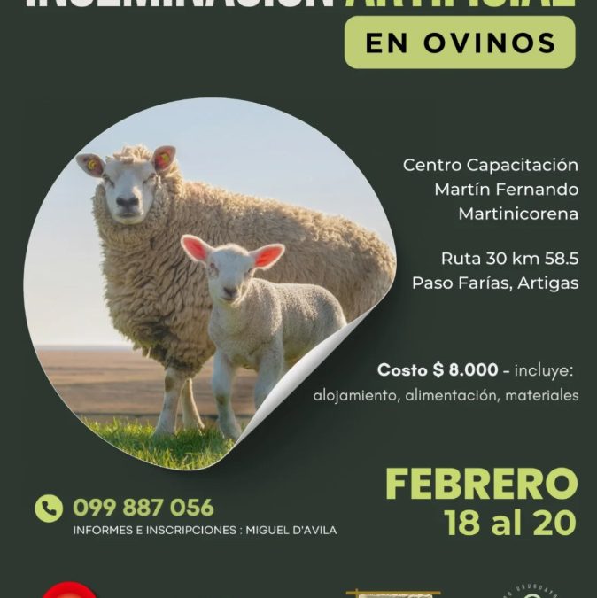 Curso de Inseminación ovina