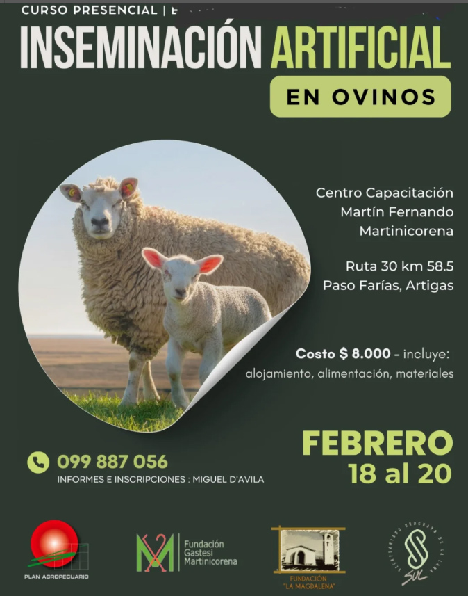 curso inseminación ovina