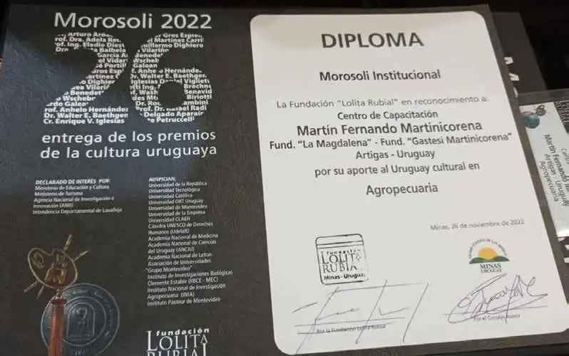 premio morosoli premio morosoli