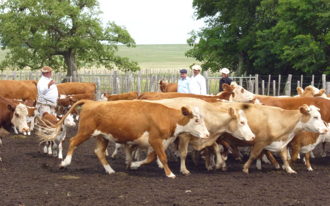 Curso para Encargados – Marzo 2026