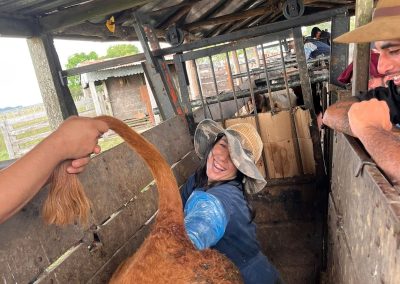 curso inseminación de vacunos