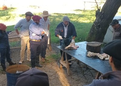 curso inseminación de vacunos