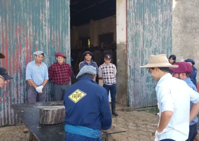 curso inseminación de vacunos