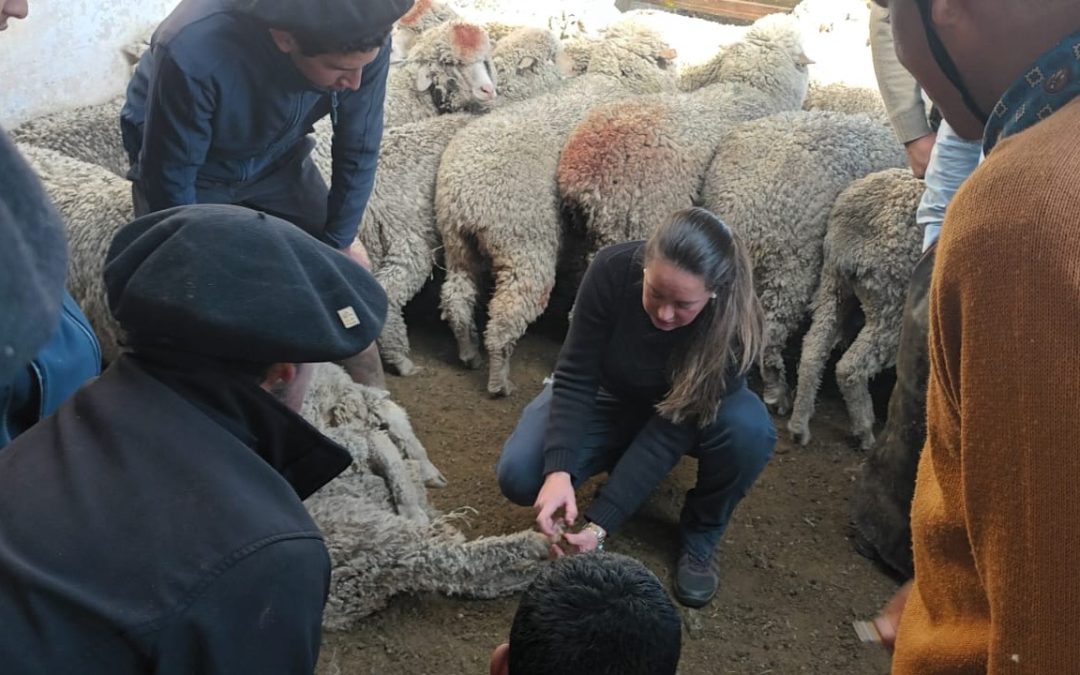 curso de encargados marzo 2025