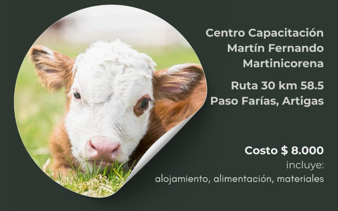 curso inseminación artificial en vacunos