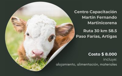Curso de Inseminación Artificial en Vacunos
