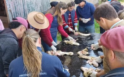 Exitosa participación en el Curso de Inseminación artificial de vacunos