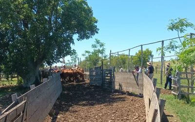 Fin del Curso de Encargados Rurales – edición 2025