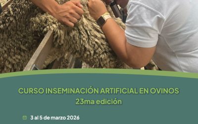 Curso de Inseminación Artificial en Ovinos – 23ma edición