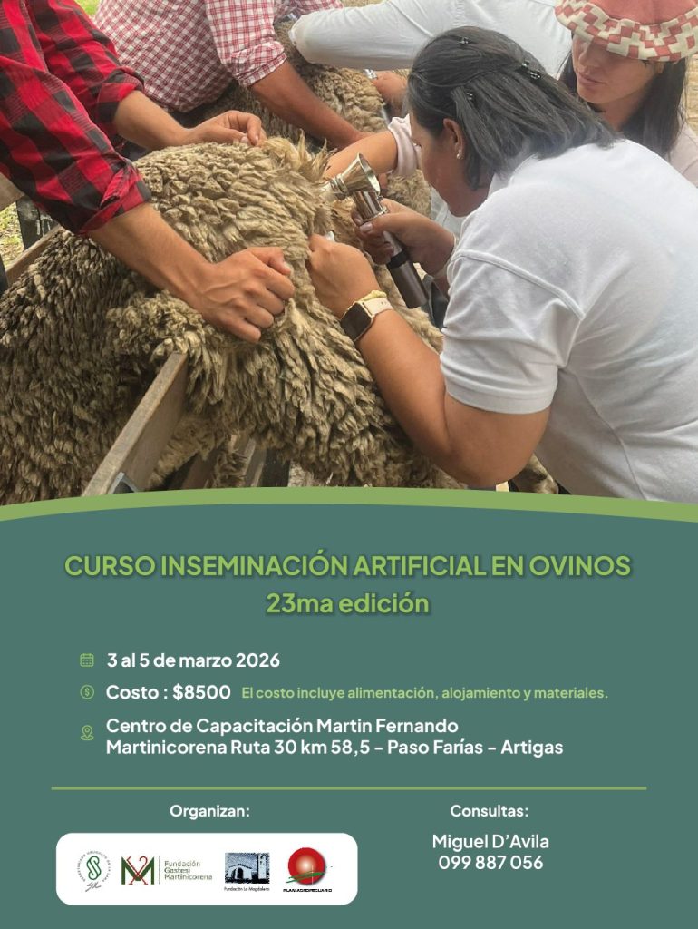 curso de inseminación de ovinos