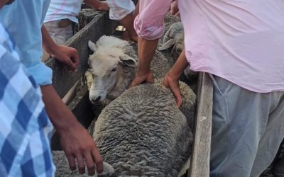 Curso de Encargados rurales con lleno total